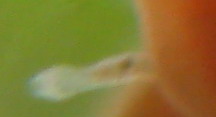 IMG_6804u3.jpg
