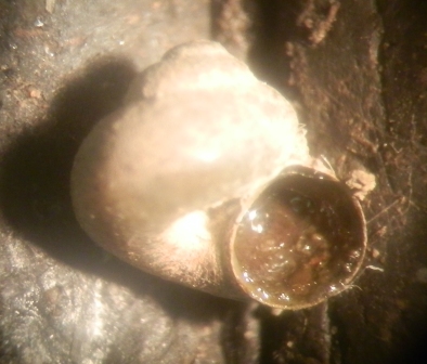 PC060044.JPG