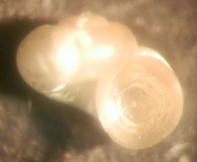PC120065.JPG