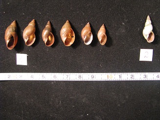 Какой вид справа_2.jpg