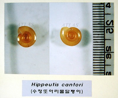 Dscn2490.jpg