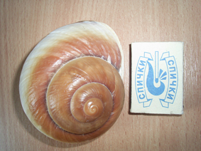 S5020208.JPG