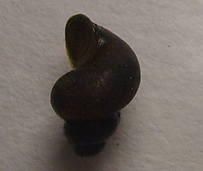 S6004616.JPG